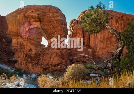 FENSTER ABSCHNITT BÖGEN NATIONAL PARK MOAB UTAH Stockfoto