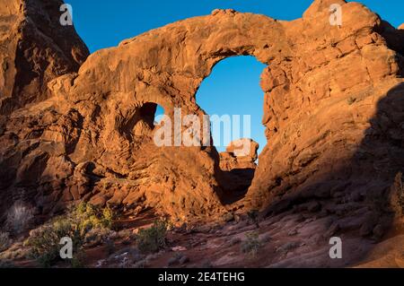 TURM BOGEN FENSTER ABSCHNITT BÖGEN NATIONAL PARK MOAB UTAH Stockfoto