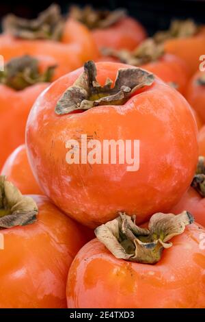 Köstliche reife Kaki-Früchte aus der Nähe auf dem Marktstand Stockfoto