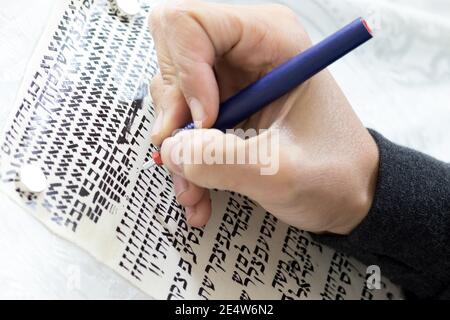 Die Hand eines Schriftstellers übt das Verzieren von Briefen aus einer Tora-Schriftrolle, die auf Pergament in Hebräisch geschrieben ist (für den Herausgeber - die hebräischen Buchstaben sind zufällig witho Stockfoto
