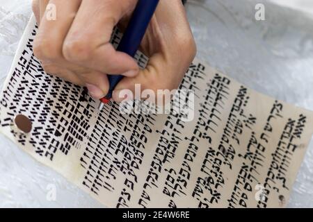 Die Hand eines Schriftstellers übt das Verzieren von Briefen aus einer Tora-Schriftrolle, die auf Pergament in Hebräisch geschrieben ist (für den Herausgeber - die hebräischen Buchstaben sind zufällig witho Stockfoto