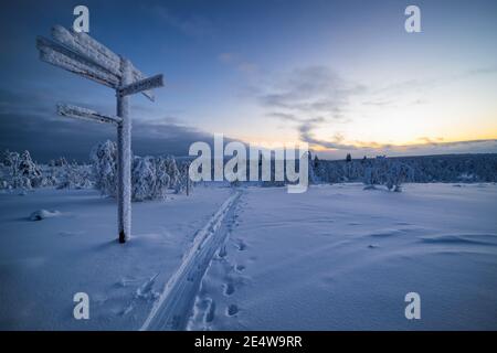 Richtungsanzeiger während der Skitouren im Pallas-Yllästunturi Nationalpark, Enontekiö, Lappland, Finnland Stockfoto