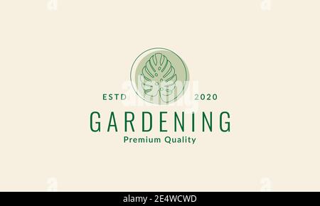 monstera Blatt Linie vintage Logo Symbol Symbol Vektor Grafik Design Stock Vektor