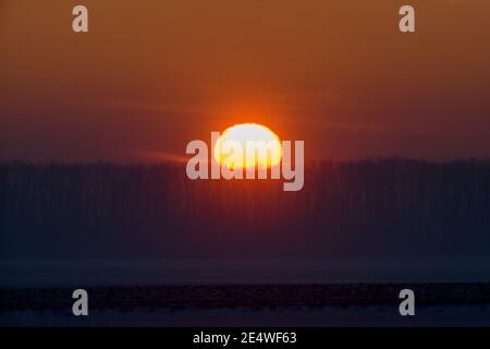 Ländliche Landschaft Szene von Sonnenaufgang oder Sonnenuntergang über einem Bauernhof Feld im Winter Stockfoto