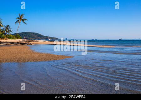 Eineinziger Baum im Meer von Klong Muang Beach, Krabi, Südthailand Stockfoto