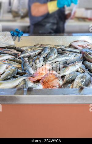 Frischer Fisch am Marktstand mit Eis zum Verkauf Stockfoto