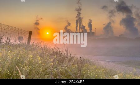 Bunte Dünenvegetation unter aufgehender Morgensonne in Industrielandschaft. Wijk aan Zee, Noord Holland, Niederlande. Stockfoto