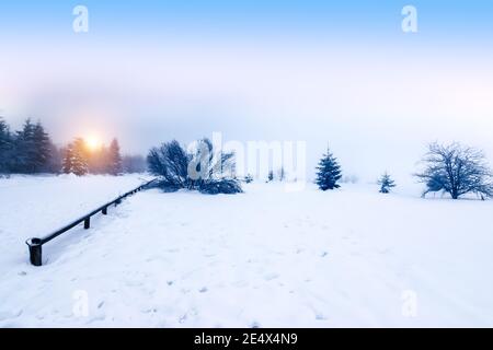 Naturlandschaft mit Sonnenaufgang an einem kalten nebligen Wintertag mit Schnee auf der Botrange, High Fens, Ardennen, Belgien. Stockfoto