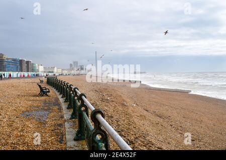 Möwen fliegen über Brighton Beach, Großbritannien Stockfoto