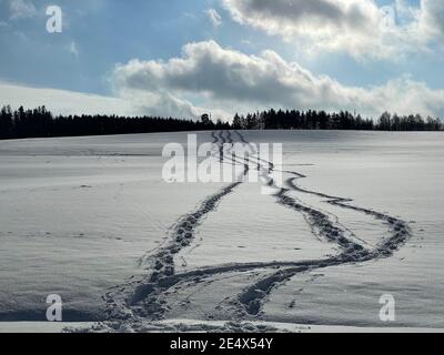 Schneeschuhwanderwege über ein schneebedecktes weißes Feld in Österreich Stockfoto