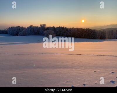 Schneeschuhwanderwege über ein schneebedecktes weißes Feld in Österreich Stockfoto