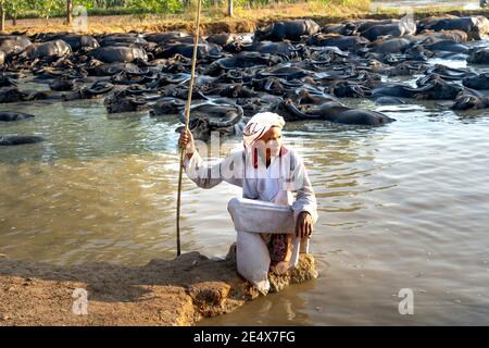 Binh Thanh Kommune, Tuy Phong Bezirk, Binh Thuan Provinz, Vietnam - 15. Januar 2021: Ein Cham ethnischen Minoryties Mann streichelte ein Büffelkalb in h Stockfoto