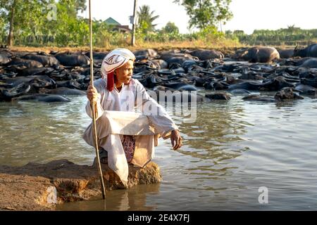 Binh Thanh Kommune, Tuy Phong Bezirk, Binh Thuan Provinz, Vietnam - 15. Januar 2021: Ein Cham ethnischen Minoryties Mann streichelte ein Büffelkalb in h Stockfoto