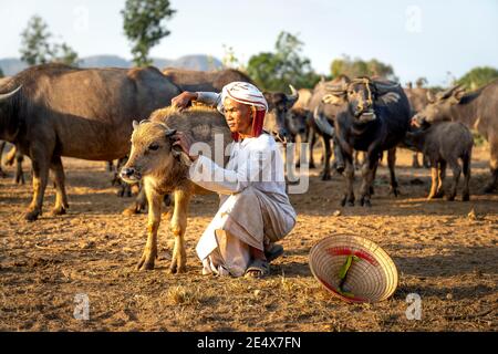 Binh Thanh Kommune, Tuy Phong Bezirk, Binh Thuan Provinz, Vietnam - 15. Januar 2021: Ein Cham ethnischen Minoryties Mann streichelte ein Büffelkalb in h Stockfoto