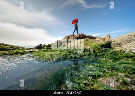 Gemeinde Binh Thanh, Distrikt Tuy Phong, Provinz Binh Thuan, Vietnam - 16. Januar 2021: Stein und grünes Moos am Strand von Co Thach Stockfoto