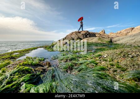 Gemeinde Binh Thanh, Distrikt Tuy Phong, Provinz Binh Thuan, Vietnam - 16. Januar 2021: Stein und grünes Moos am Strand von Co Thach Stockfoto