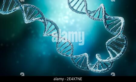 Doppelte Helix DNA Stränge auf einem blauen Hintergrund mit Copy Space 3D Rendering Illustration. Genetik, Wissenschaft, Genom, Medizin, Biologie Konzepte. Stockfoto