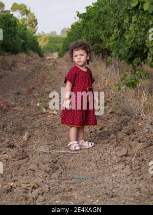 Kleinkind Mädchen spielt im Freien in Zitrusbaum Obstgarten Stockfoto