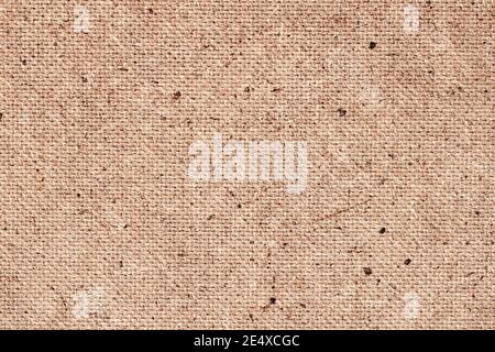 Recyceltes komprimiertes Holz Spanplatten, Faserplatten-Textur, beige Farbe, für Hintergrund Stockfoto