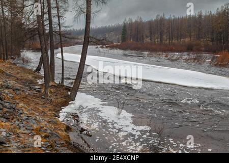 Frühlingslandschaft bei schlechtem Wetter mit einem Bach und Eisscholle in Südjakutien, Russland. Stockfoto