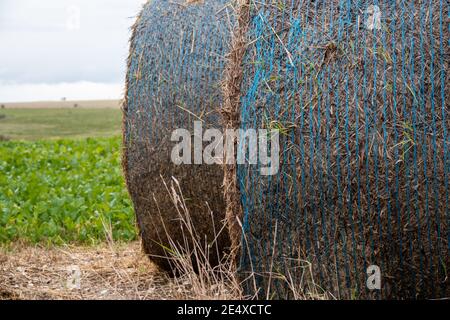 Riesige Heuballen in blauem Garn gewickelt Stockfoto