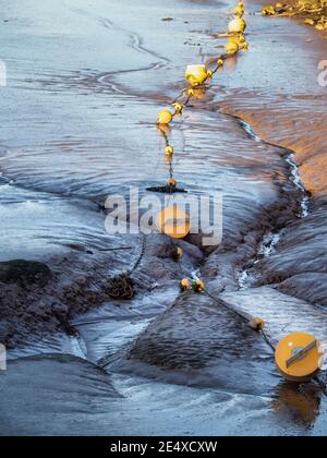 BIDEFORD, NORTHE DEVON, ENGLAND - JANUAR 23 2021: Streng keine Festungsschilder am Fluss Torridge. Stockfoto