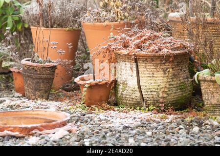 Frostschäden an Terrakotta-Töpfen und Vogelbad - Schottland, Großbritannien Stockfoto