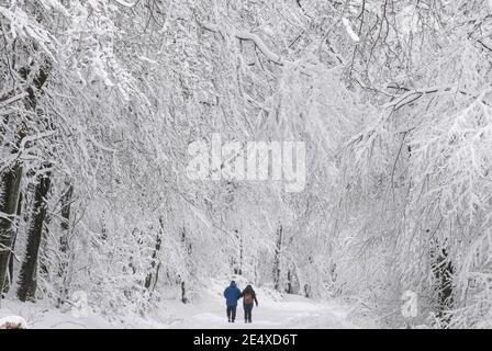 25. Januar 2021, Hessen, Hausen vor der Höhe: Wanderer wandern durch tiefen Neuschnee in einem Wald im Rheingau. Im Hochland sind viele Straßen noch gesperrt oder unpassierbar. Foto: Boris Roessler/dpa Stockfoto