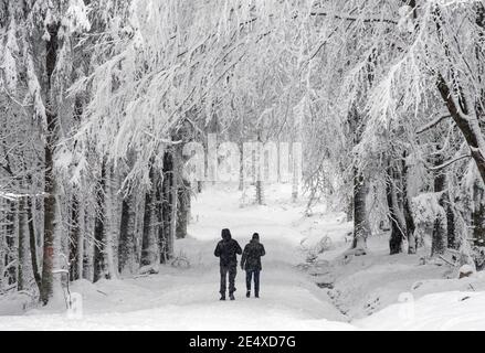 25. Januar 2021, Hessen, Hausen vor der Höhe: Wanderer wandern durch tiefen Neuschnee in einem Wald im Rheingau. Im Hochland sind viele Straßen noch gesperrt oder unpassierbar. Foto: Boris Roessler/dpa Stockfoto