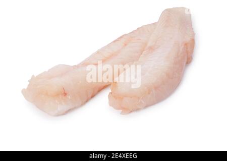 Studioaufnahme von Seeteufel Schwanz geschnitten gegen eine weiße Hintergrund - John Gollop Stockfoto
