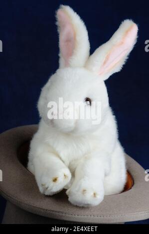 Weißes Kaninchen weiches Spielzeug in einem Hut, Konzept Bild zeigt Magie oder Schlitten der Hand. Stockfoto