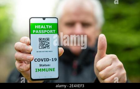 Älterer Mann, der einen Gesundheitspass auf einem Handy vorweist, was auf eine Impfung gegen covid-19 hinweist. Stockfoto