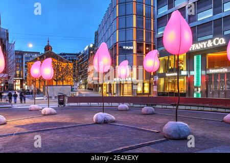 Genf, Schweiz - 24. Januar 2021 - Hivernales Népenthèses - Lichtkunstinstallation in Place du Rhône, Genf, Schweiz von Sophie Guyot während Stockfoto