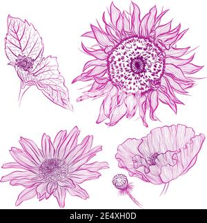 Vektorgrafik im Linienkunststil. Set von Blumen der Sonnenblume, Rose, Mohn isoliert auf weißem Hintergrund. Handgezeichnetes botanisches Bild Stock Vektor