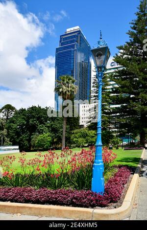 Perth, WA, Australien - 28. November 2017: Bunte Laterne und Blumenbeet mit Känguruspflanzen in öffentlichen Stirling Gardens Stockfoto