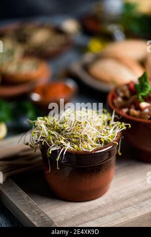 Nahaufnahme von einigen gekeimten Grünkohlensamen in einer Steingutschüssel, auf einem Tisch voller verschiedener Zutaten, um vegane Snacks zuzubereiten Stockfoto