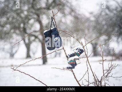 25. Januar 2021, Hessen, Frankfurt/Main: Bei leichtem Schneefall hängen Winterhandschuhe, die Kinder verloren haben, an einem Strauch am Rande eines Wanderweges in der Gemeinde Bergen. Foto: Frank Rumpenhorst/dpa Stockfoto