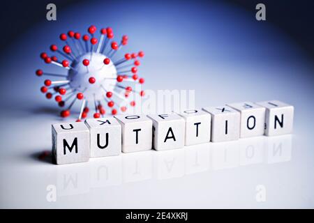 Coronavirus-Modell und Buchstabenwürfel, Covid-Mutation Stockfoto