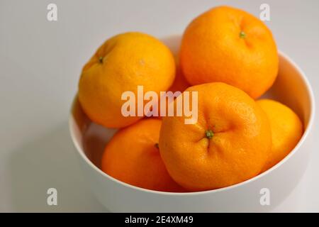 Nahaufnahme der Mandarinen Orangen (Lukan) in einer Schüssel, vor weißem Hintergrund Stockfoto