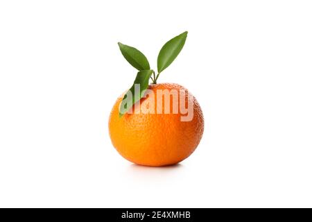 Reife Mandarine mit zwei frischen grünen Blättern isoliert auf Weiß, eine klassische Zitrusfrucht mit einer hellen Schale Stockfoto