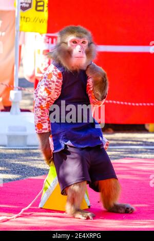 In Tokio kann man gut herumkommen Stockfoto