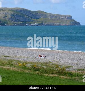 Lone Sonnenbaden auf Llandudno's North Shore mit dem Pier und Great Orme Beyond Stockfoto