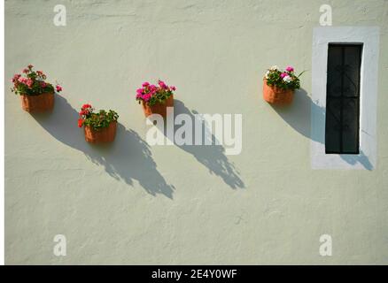 Handgemachte Tontöpfe mit Geranien auf einer Stuckwand in Atlixco, Puebla Mexiko. Stockfoto