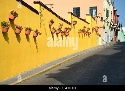 Handgemachte Tontöpfe mit Geranien auf einer ockerfarbenen Stuckwand eines Kolonialhauses in Atlixco, Puebla Mexiko. Stockfoto