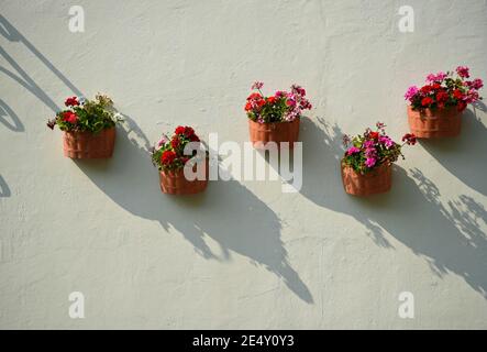 Handgemachte Tontöpfe mit Geranien auf einer Stuckwand in Atlixco, Puebla Mexiko. Stockfoto