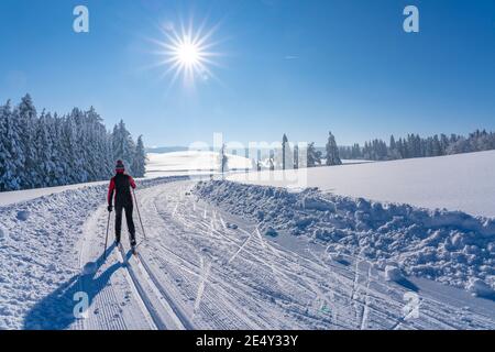 Schöne aktive Senioren Langlauf im frisch gefallenen Pulverschnee in den Allgauer alpen bei Immenstadt, Bayern, Deutschland Stockfoto