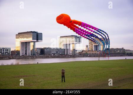 Großer Krake-Drachen am Rheinufer im Stadtteil Deutz, Blick auf den Rheinauer Hafen mit den Kranichhäusern, Köln, Deutschland. G Stockfoto