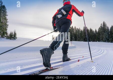 Schöne aktive Senioren Langlauf im frisch gefallenen Pulverschnee in den Allgauer alpen bei Immenstadt, Bayern, Deutschland Stockfoto