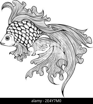 Aquarium Goldfisch in Linie Kunst Handzeichnung Stil. Schleier Schwanz Fisch Vektor-Illustration isoliert auf weißem Hintergrund. Fisch Silhouette für Ihr Design. Malbuch Seite Stock Vektor
