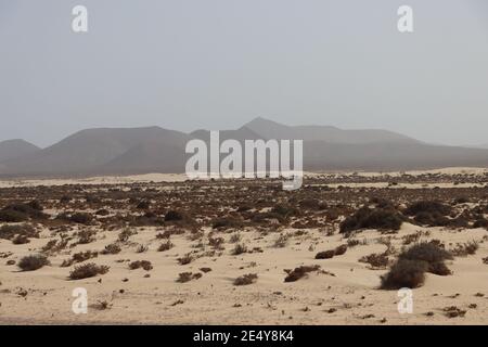 Corralejo Sanddünen, Fuerteventura, Kanarische Inseln, Spanien Stockfoto